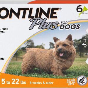 FRONTLINE Plus Flea and Tick Treatment for Small Dogs Upto 5 to 22 lbs.6 doses